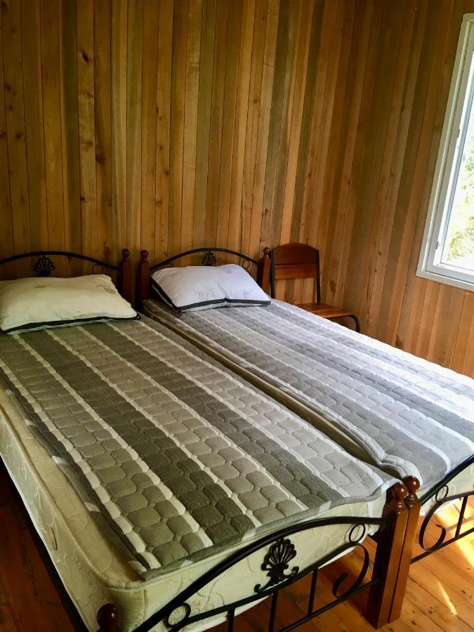 House In Gonio-Kvariati Economy Class ภายนอก รูปภาพ
