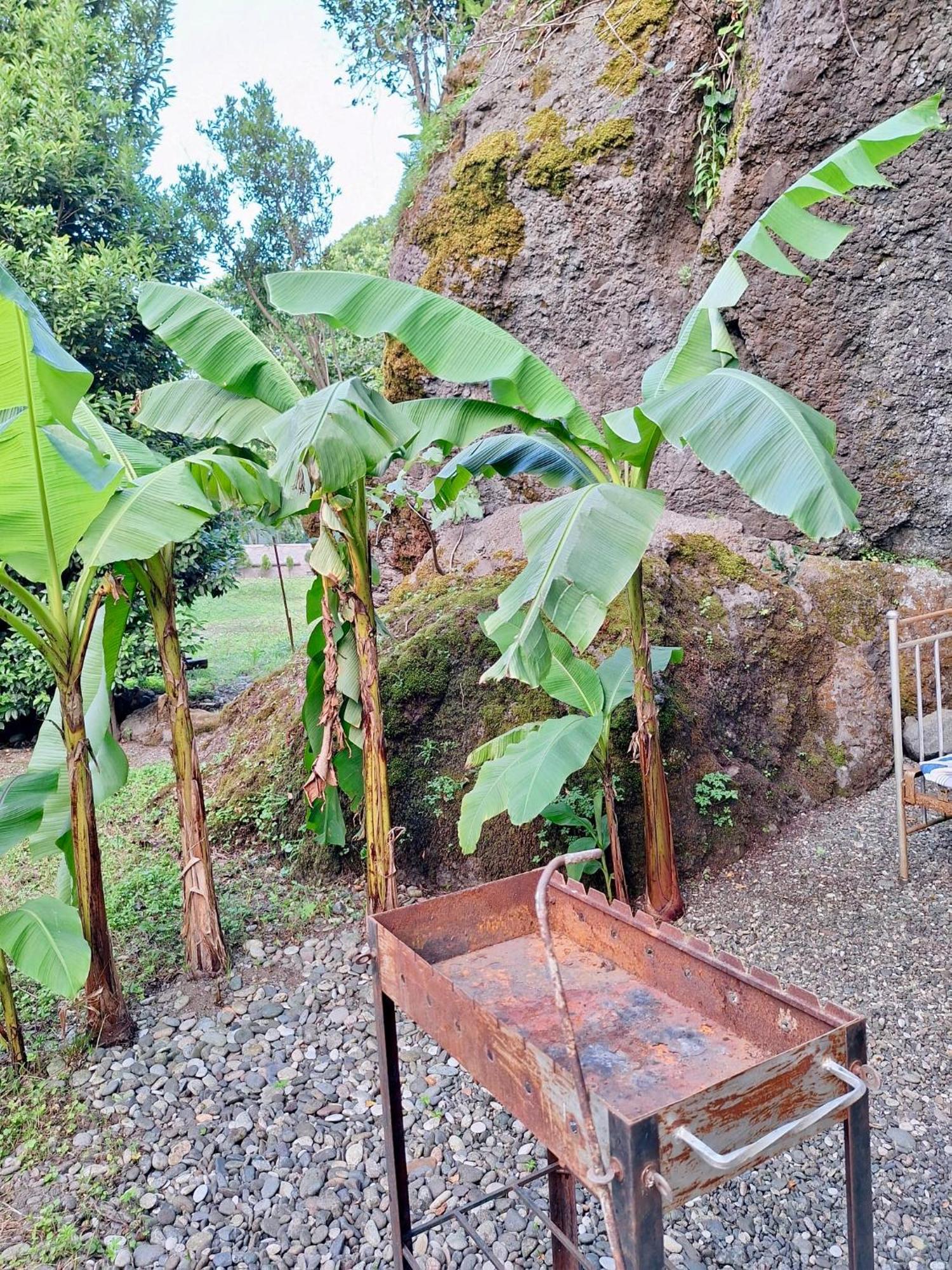 House In Gonio-Kvariati Economy Class ภายนอก รูปภาพ